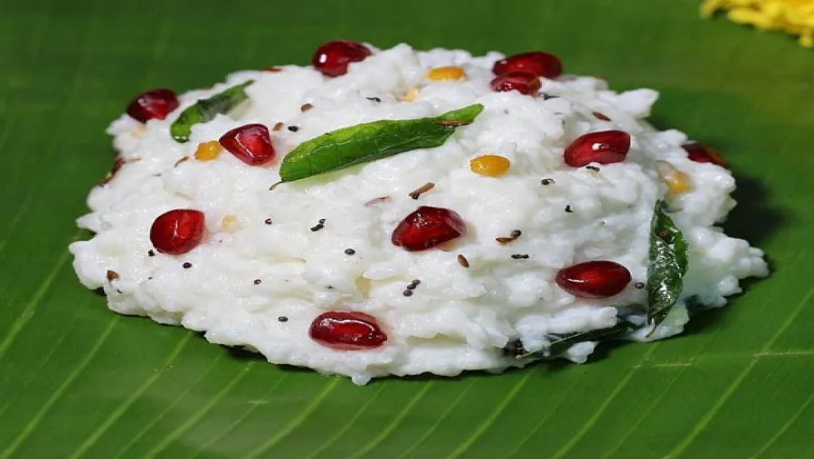 Curd Rice